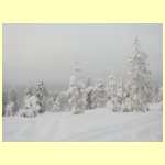 DSCN4979.JPG